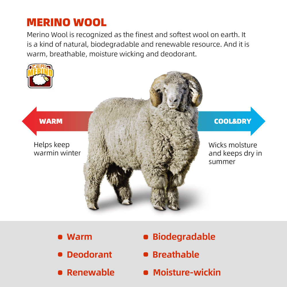 ZEALWOOD Merino Wool Running S – обзор и цена Wool Hiking Sock